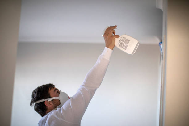 Best Mold Remediation for Schools in Hooper, NE