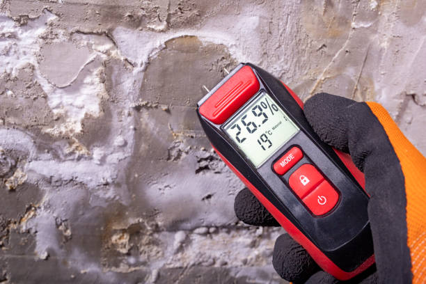 Hooper, NE Mold Remediation Company