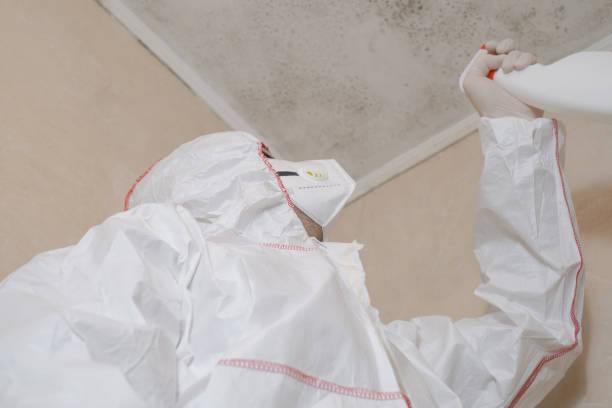 Best Mold Remediation for Specific Building Types in Hooper, NE